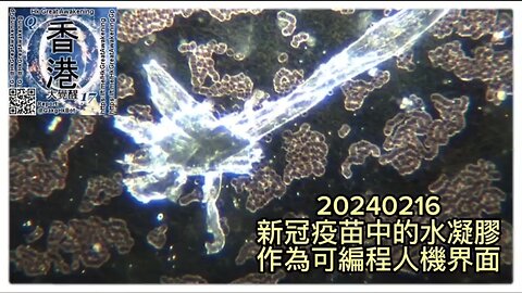 #新冠疫苗 中的 #水凝膠 作為 #可編程人機界面