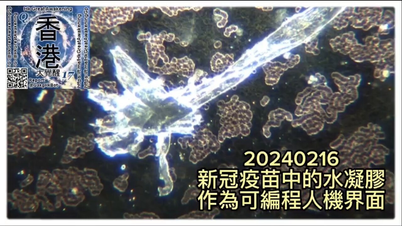 #新冠疫苗 中的 #水凝膠 作為 #可編程人機界面