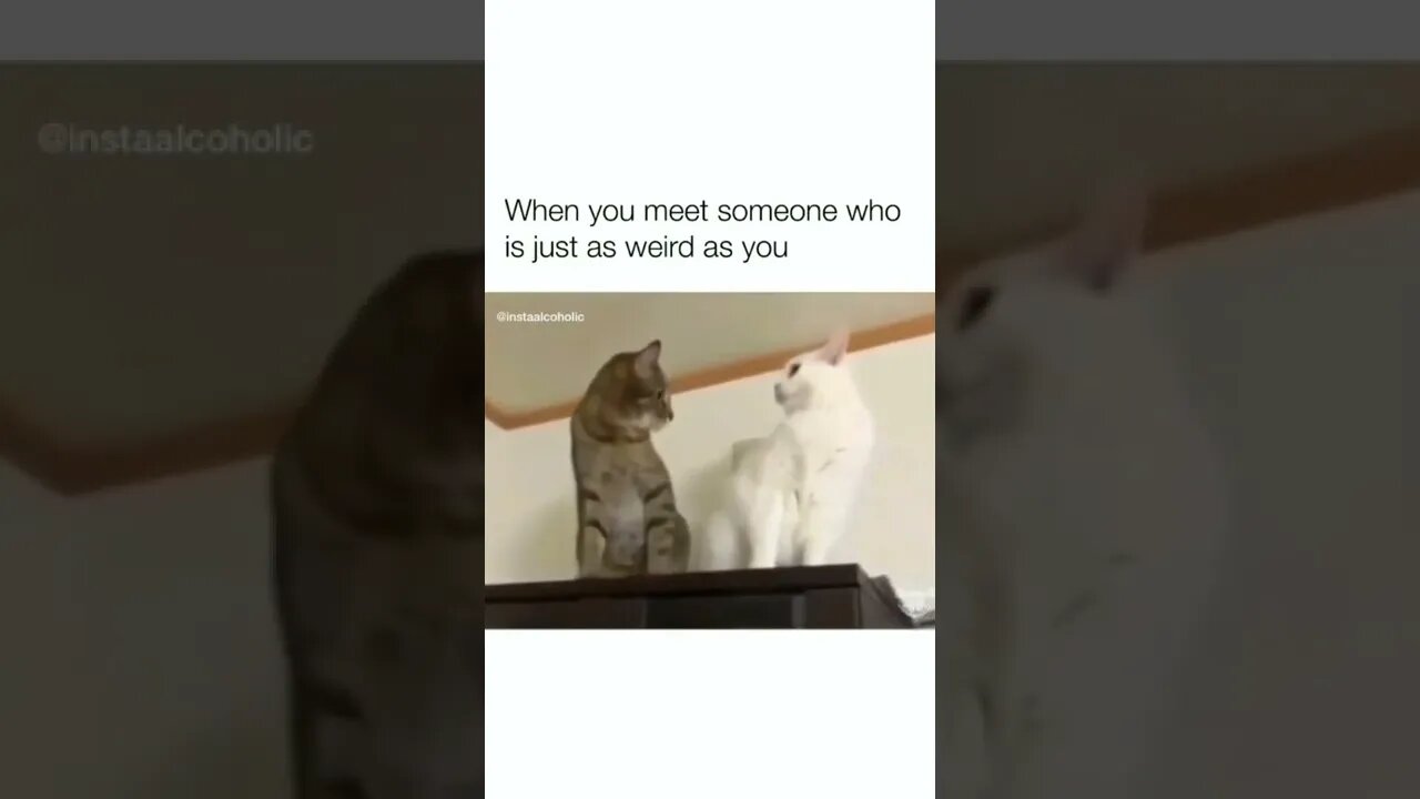 😜😂