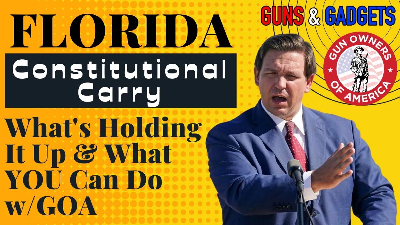 Florida Constitutional Carry! Will It Happen? What's Holding It Up? What YOU Can Do!