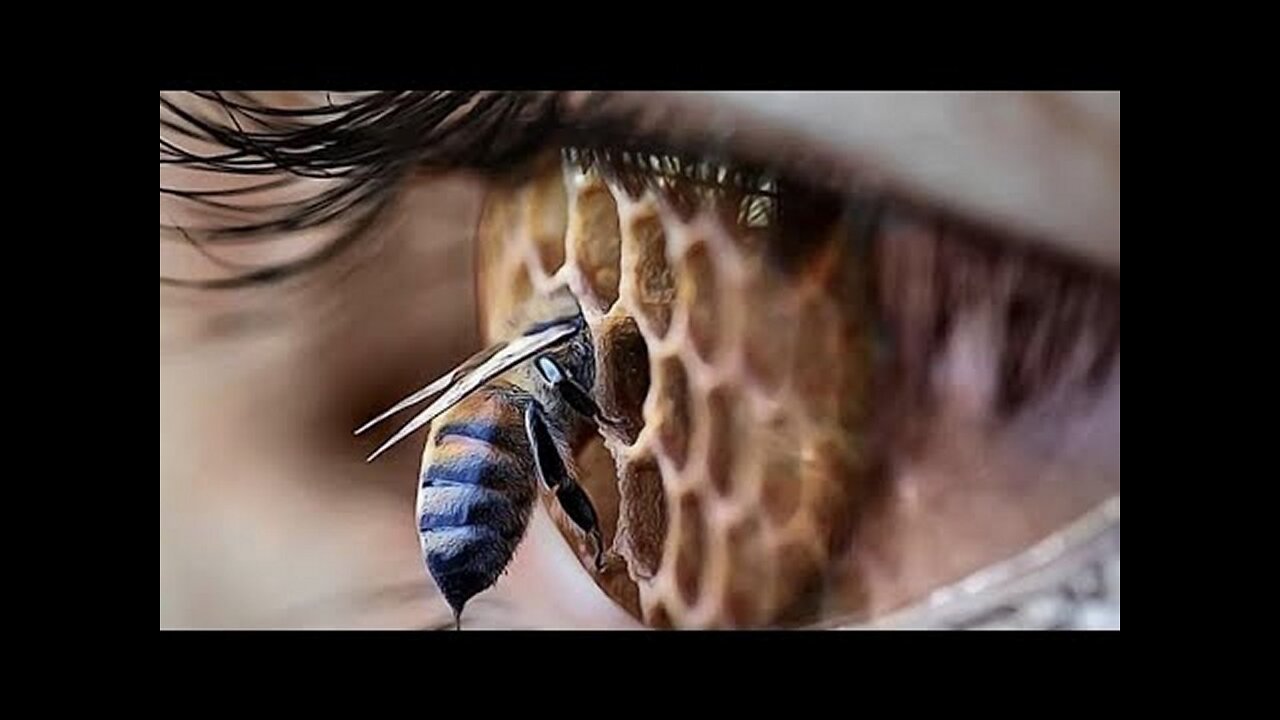 Wake Up A Friend With This Video! This Is How They Create A 'Hive Mind'! [13.07.2023]