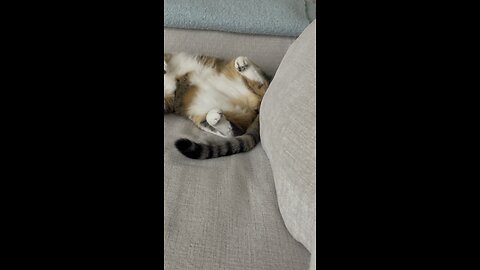 Sleeping