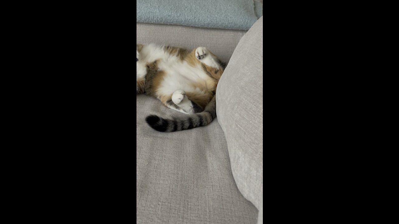 Sleeping
