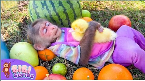 BiBi and duckling take a rest after gardening