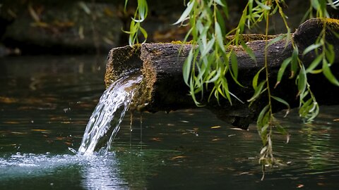 Water 💧 Falling