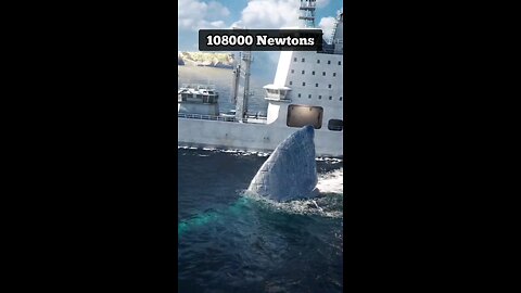 Maglodon Shark Mystery😱🤯😨