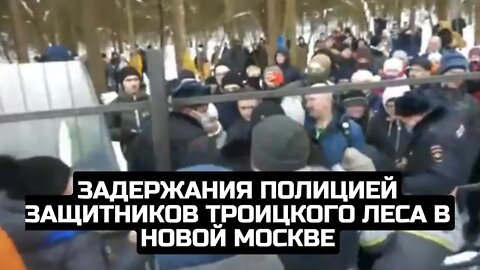 Задержания полицией защитников Троицкого леса в Новой Москве