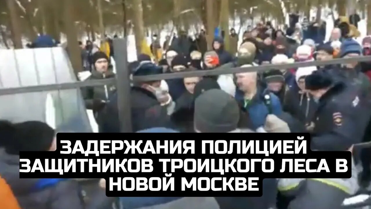 Задержания полицией защитников Троицкого леса в Новой Москве