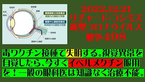 2022.12.21 リチャード・コシミズ新型コロナウイルス戦争４９８