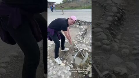 #shorts #2022 funny,prank,funjokes,dad jokes,funny memes,funny video,fun,laughing,funny animal,knock