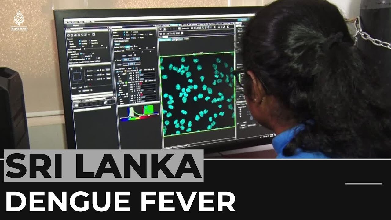 Sri Lankan authorities rush to contain dengue fever outbreak
