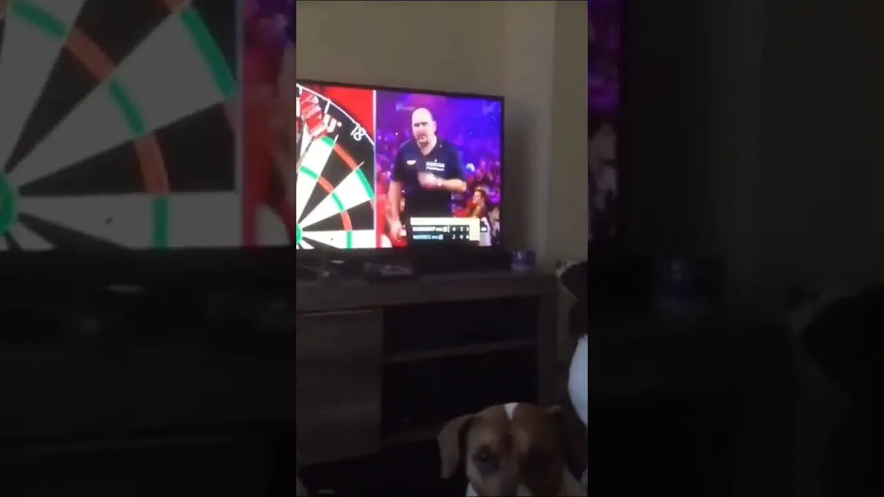 Dude...seriously...where are these darts going...😂🤔🐶🎯
