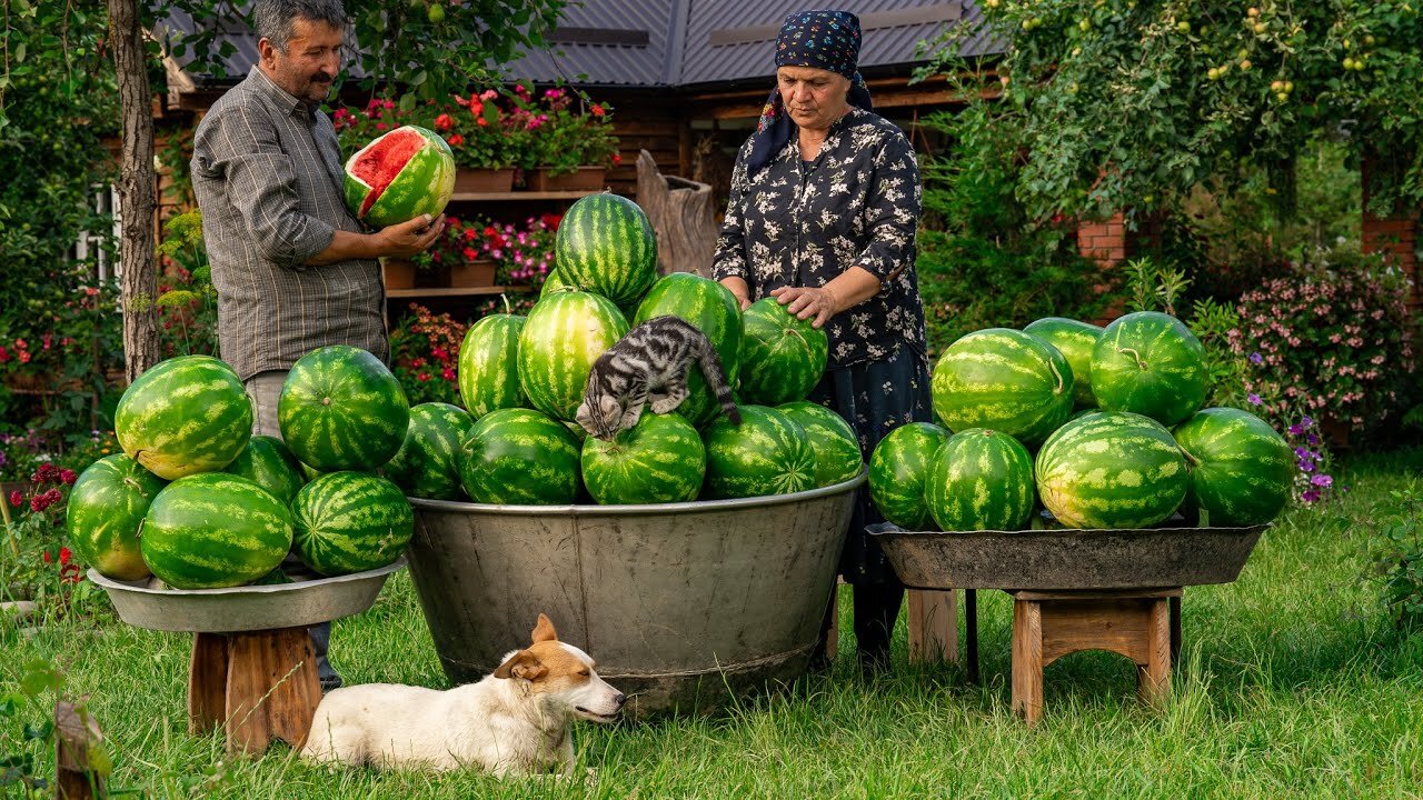 Summer Watermelon Delights: Effortless Watermelon Treats