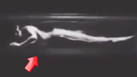 Live mermaid auctioned in the dark! real or fake [Conspiracy]