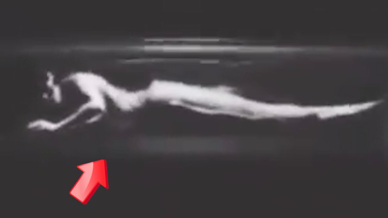 Live mermaid auctioned in the dark! real or fake [Conspiracy]