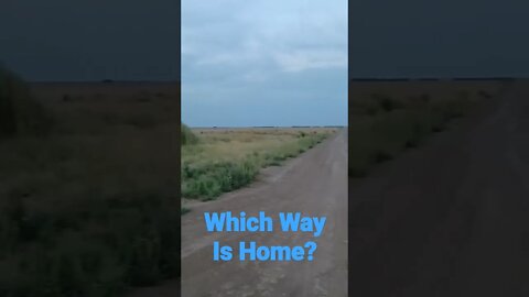 Prairie Spin 🌪️