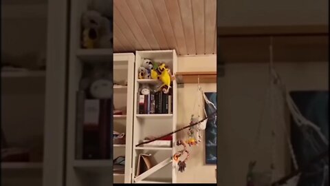 #she was doing #fine #before #crashedit #memedodoubleg