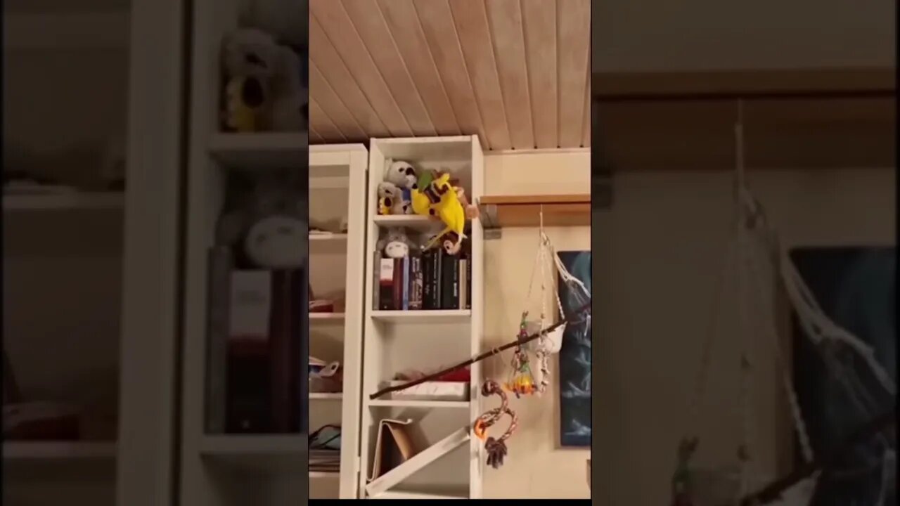 #she was doing #fine #before #crashedit #memedodoubleg