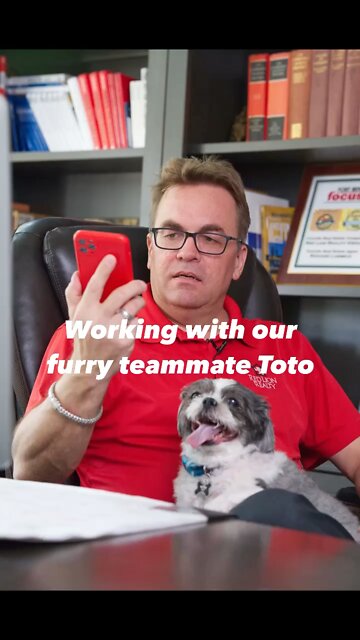 Furry Teammate
