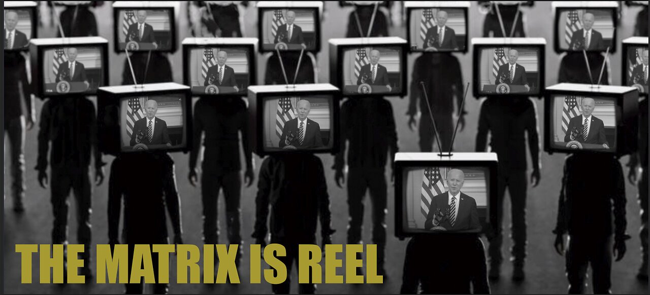 The Matrix Is Reel