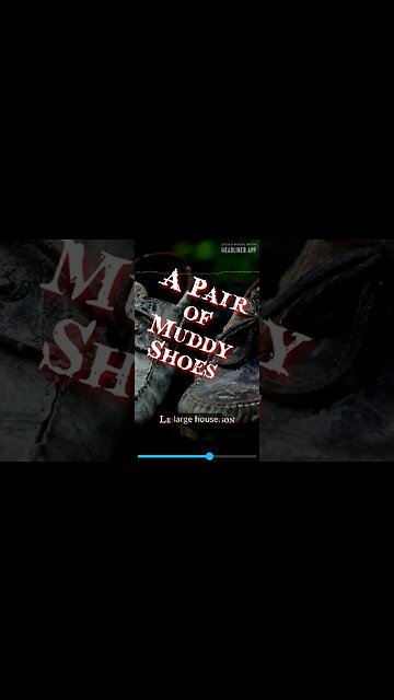 A Pair of Muddy Shoes by Lennox Robinson