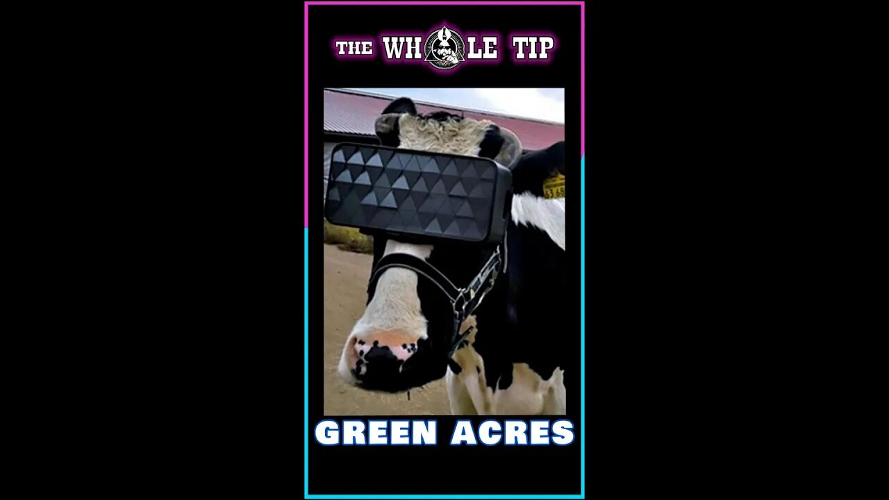 GREEN ACRES - the Whole Tip Daily #shorts