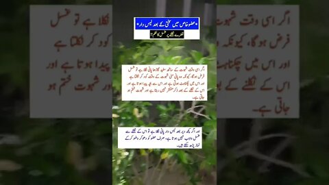 World Info Point l informative videos l #information #trending #amazing #intresting #hikmat #health