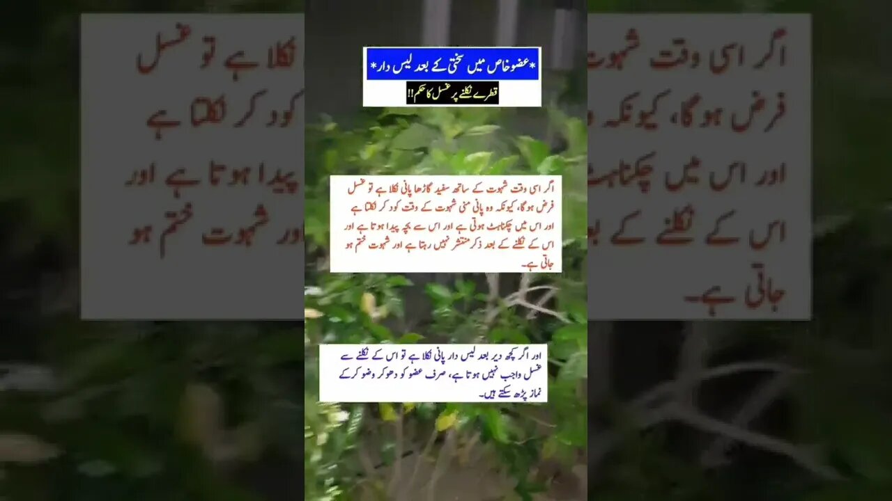 World Info Point l informative videos l #information #trending #amazing #intresting #hikmat #health