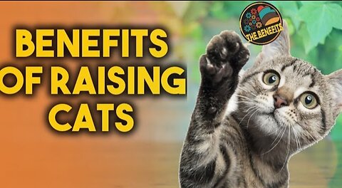 What are 🤔the health benefits of raising cats🐈