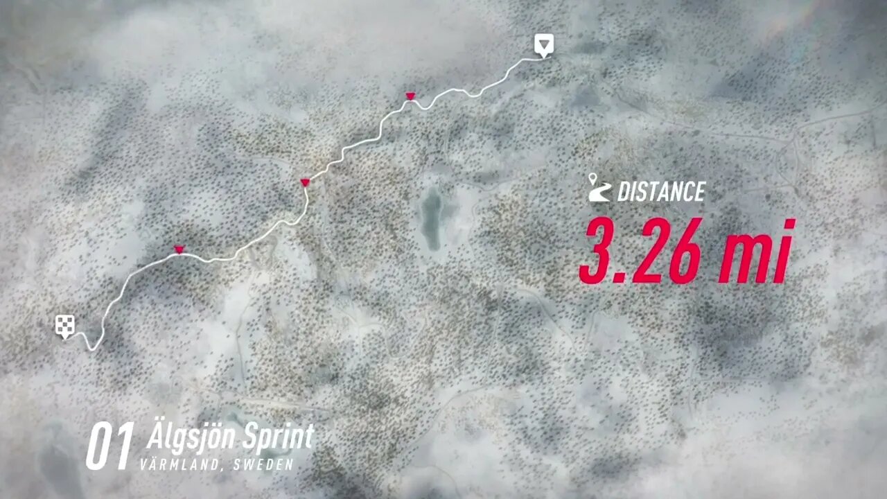 DiRT Rally 2 - 306 Maxi Miscues at Algsjon