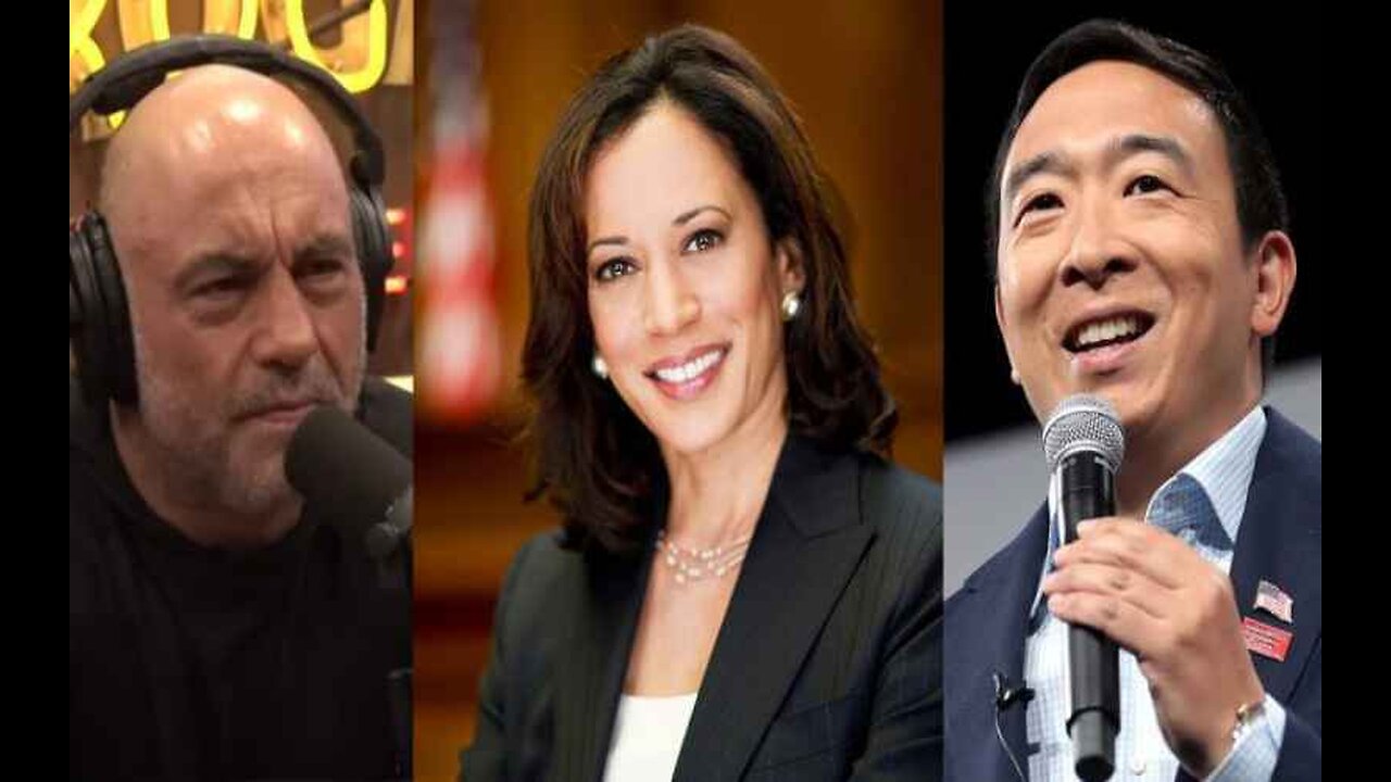 Andrew Yang Criticizes Kamala Harris for Skipping Joe Rogan’s Podcast