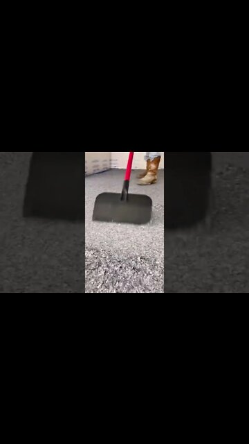 #shorts #2022 funny,prank,funjokes,dad jokes,funny memes,funny video,fun,laughing,funny animal,knock