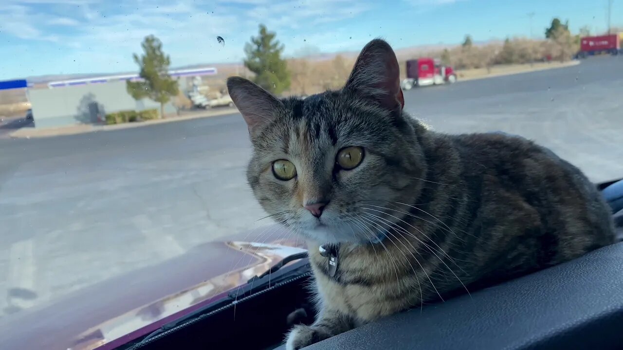 Sitting in New Mexico