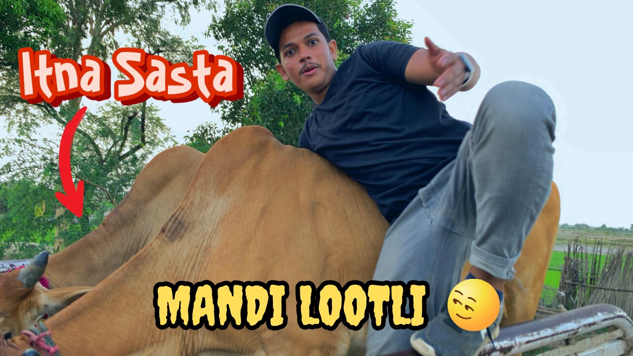 Allhamdullilah Cow LayLi 😇| Village Sy Sasta Janwar Mil Gaya🤩| Vlogs By Sameer
