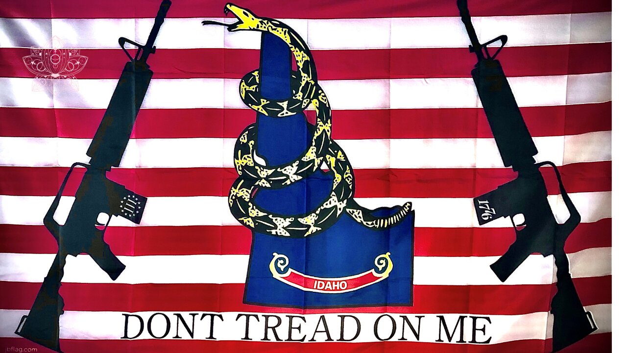 DON'T TREAD ON ME IDAHO - JANICE MCGEACHIN STANDS UP!