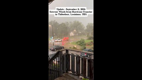 Extreme winds from hurricane Francine in Thibodaux, Louisiana USA