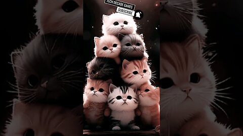 CUTE KITTENS