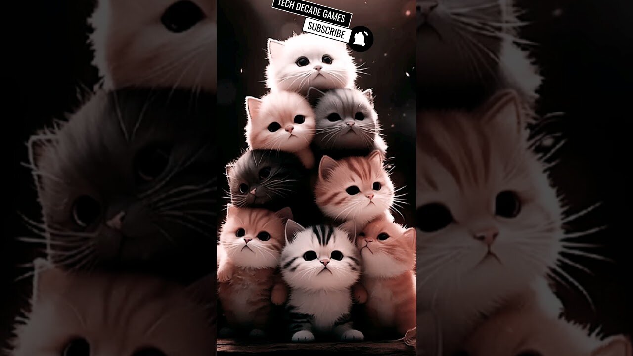 CUTE KITTENS