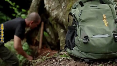 Man lives in the rain forest all year round and uses natural tree holes as shelter/Episode5