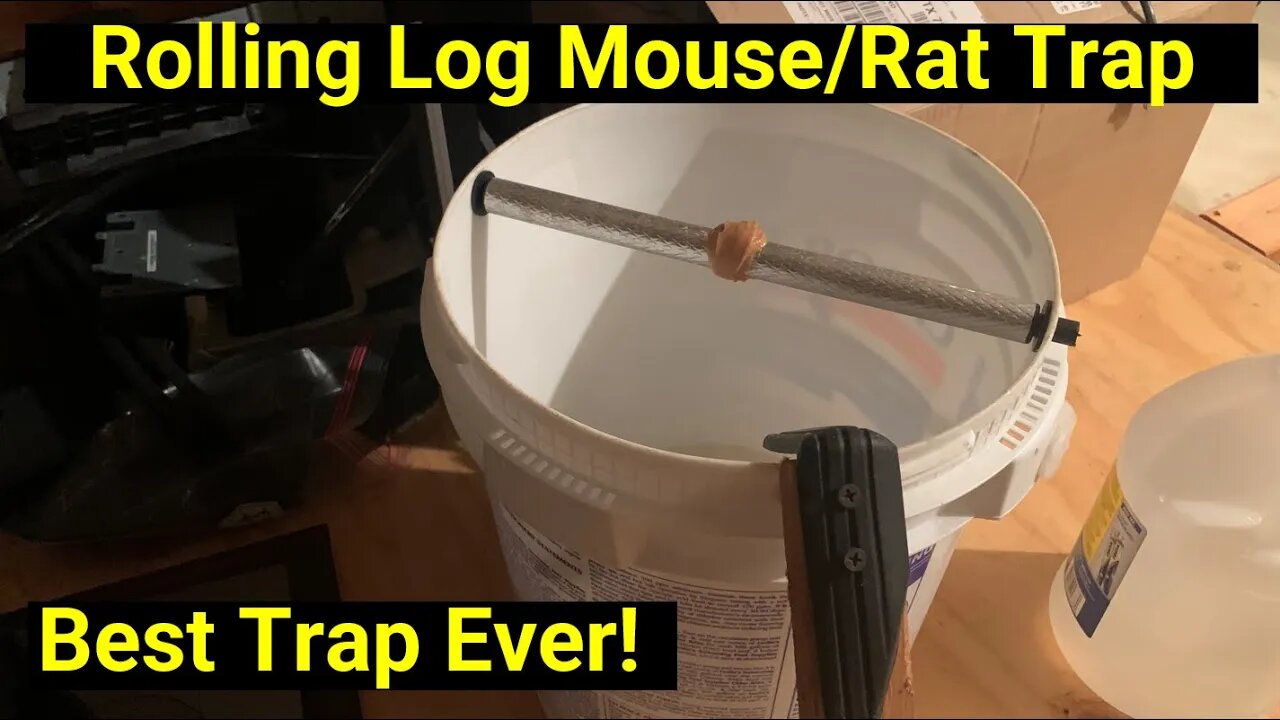 🐭Best Mouse and Rat Trap Ever! Simple to Catch Mice With 5 Gallon Bucket! Easy Rolling Pin Design