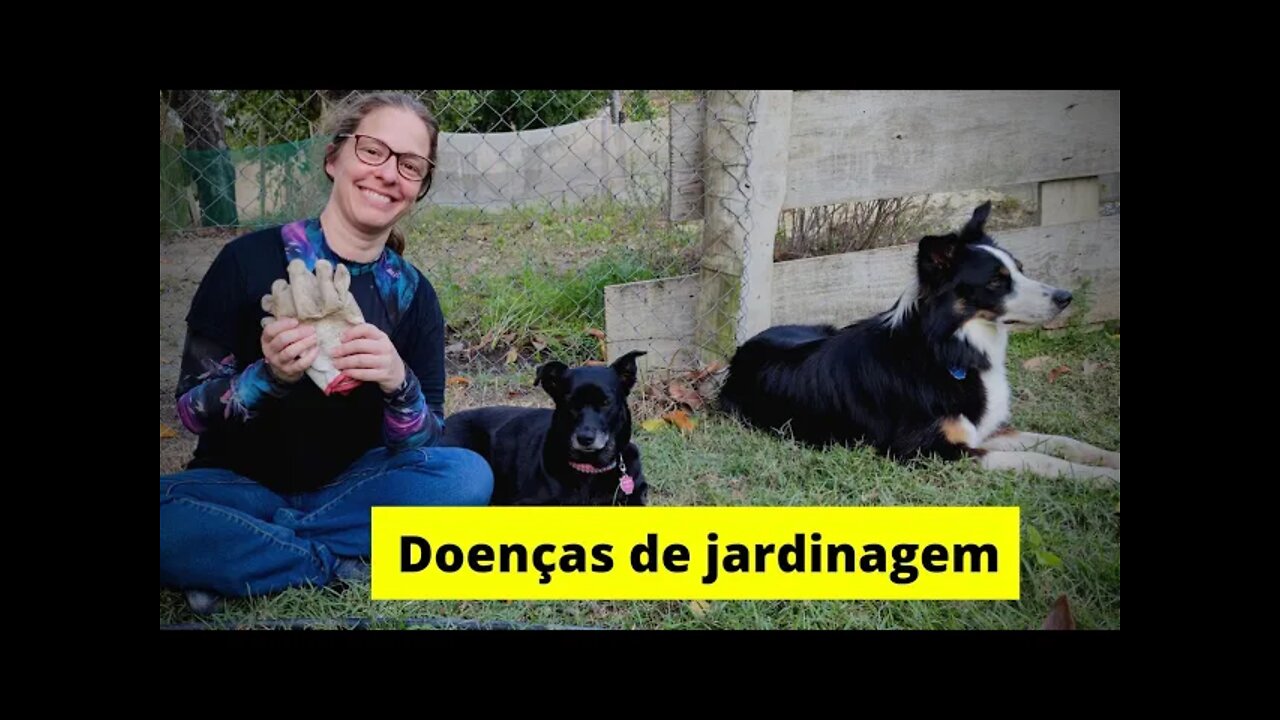 Riscos de doenças na jardinagem, você gosta de cuidar das plantas? #infectologia