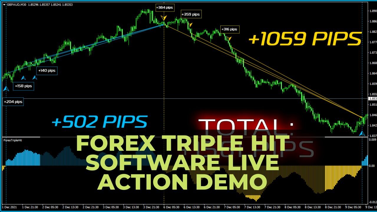 Forex Triple Hit Software Live Action Demo