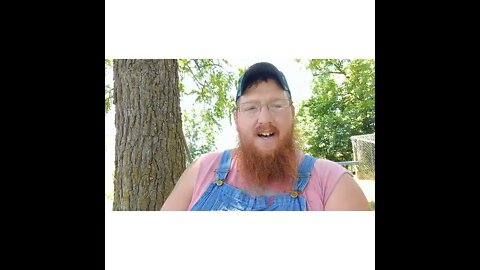 Tiny house Talk Tuesday: Bracing Cucumbers, and what drives you?