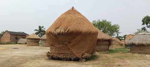 India paddy store