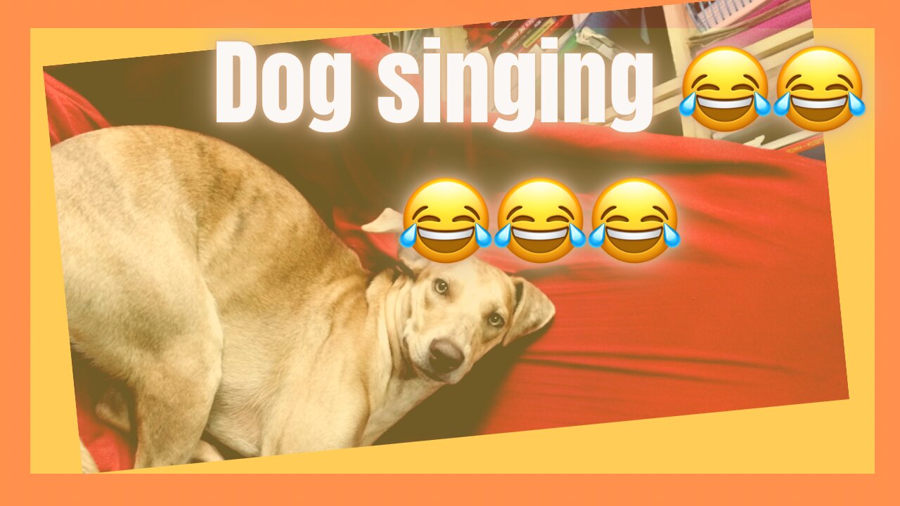 Dog singing😂😂😂😂🎤🎤