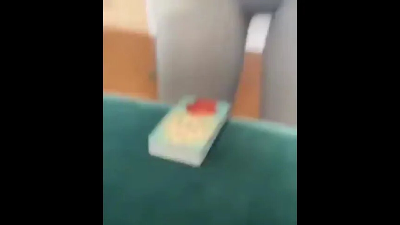 Wait for it 😂😝😂. . .