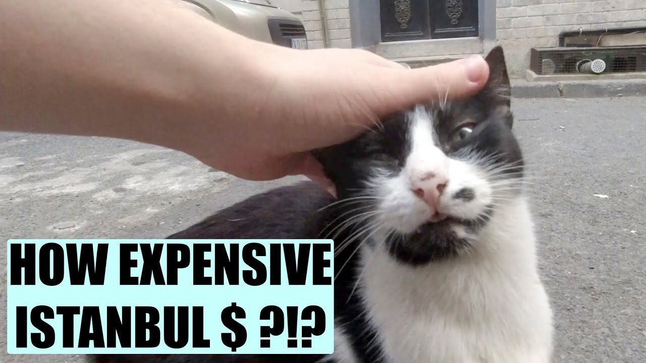 HOW EXPENSIVE IS ISTANBUL, TURKEY? IT IS SO CHEAP! | Travel Vlog