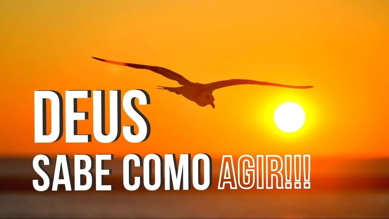 MANHÃ COM DEUS 2 FEV — DEUS SABE COMO AGIR