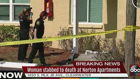 Woman stabbed to death at Norton Apartments