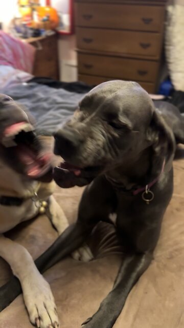 Girls have thoughts about everything!